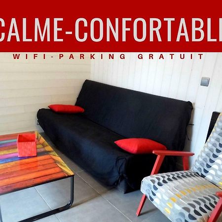 Joli Petit T4 Confortable Au Bord De Leau Vieille-Brioude المظهر الخارجي الصورة